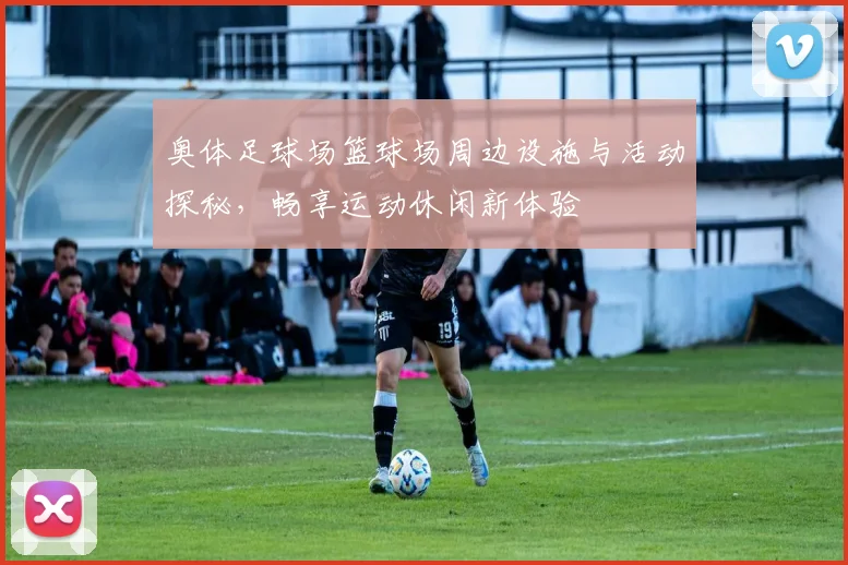 奥体足球场篮球场周边设施与活动探秘，畅享运动休闲新体验