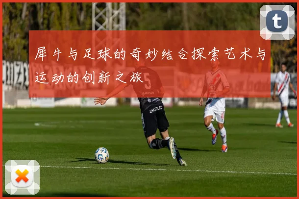 犀牛与足球的奇妙结合探索艺术与运动的创新之旅