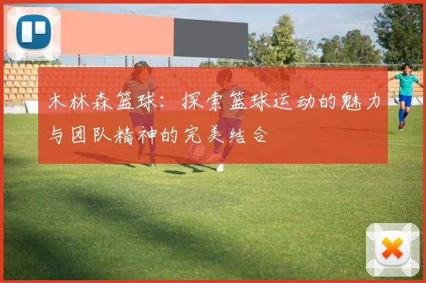 木林森篮球：探索篮球运动的魅力与团队精神的完美结合
