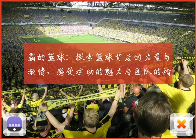 霸的篮球：探索篮球背后的力量与激情，感受运动的魅力与团队的精神