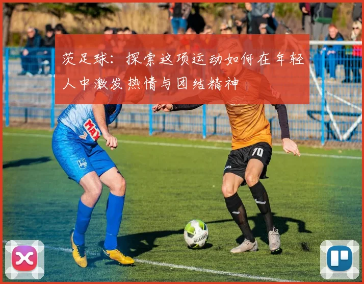 茨足球：探索这项运动如何在年轻人中激发热情与团结精神