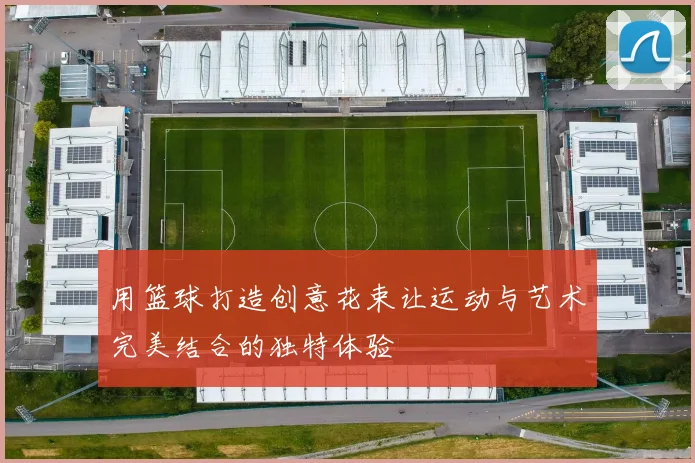 用篮球打造创意花束让运动与艺术完美结合的独特体验