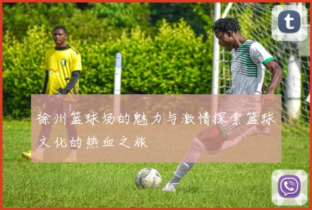 徐州篮球场的魅力与激情探索篮球文化的热血之旅
