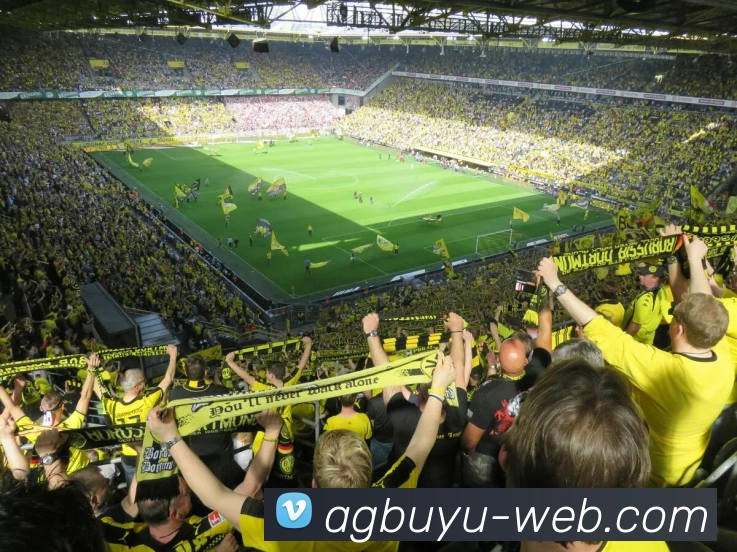 AG捕鱼app下载服务体系